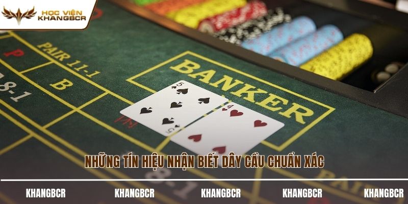 Những tín hiệu nhận biết dây cầu chuẩn xác